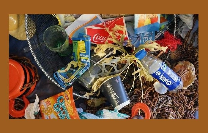 Η ελπίδα στα φτερά-ΜΠΡΕΝΤΑΝ ΚΕΝΕΛΙ