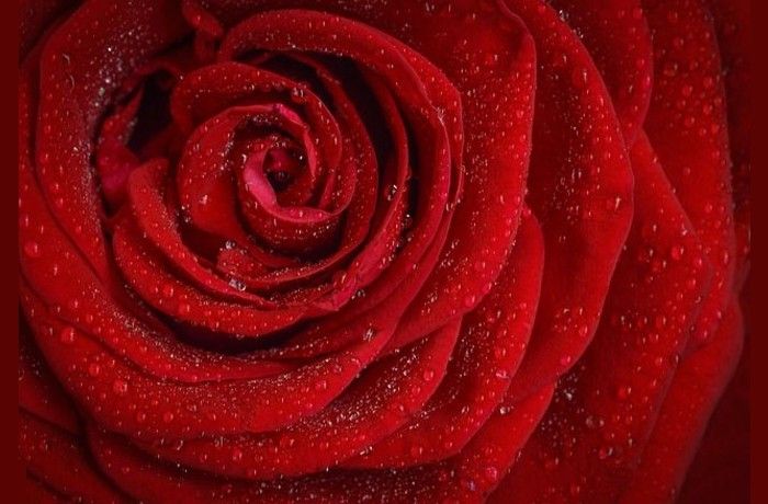 Αγάπη-ΚΩΣΤΑΣ ΚΑΡΥΩΤΑΚΗΣ