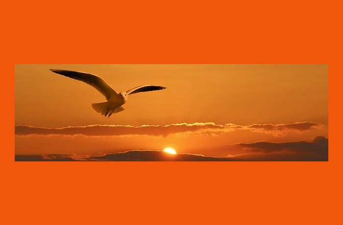 Στιγμή ελευθερίας-ΤΖΙΜ ΜΟΡΙΣΟΝ