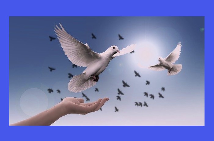 Η ψυχή διαλέγει τη δική της συντροφιά-ΕΜΙΛΙ ΝΤΙΚΙΝΣΟΝ