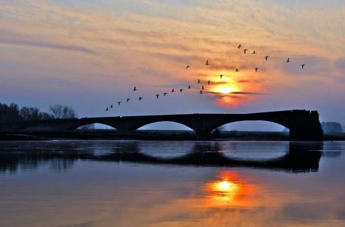 Κυριακή -ΤΡΙΣΤΑΝ ΤΖΑΡΑ