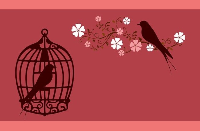 Φυλακισμένο πουλί-ΜΑΓΙΑ ΑΓΓΕΛΟΥ