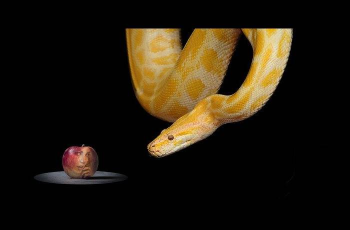 Εύα - ΑΠΟΣΤΟΛΟΣ ΒΕΡΓΙΝΗΣ