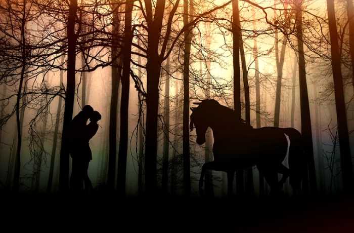 Το δάσος - ΝΤΙΝΟΣ ΧΡΙΣΤΙΑΝΟΠΟΥΛΟΣ