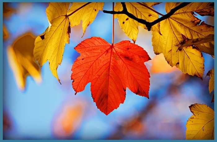 Όμορφος Οκτώβριος (ποιήματα για τον Οκτώβριο)