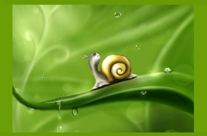 Ο Κοκός το σαλιγκάρι και η καλόκαρδη Βέφα - ΘΩΜΑΗ ΤΣΙΜΕΡΙΚΑ