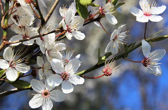 Μόρτης Μάρτης (Ποιήματα για τον Μάρτιο)