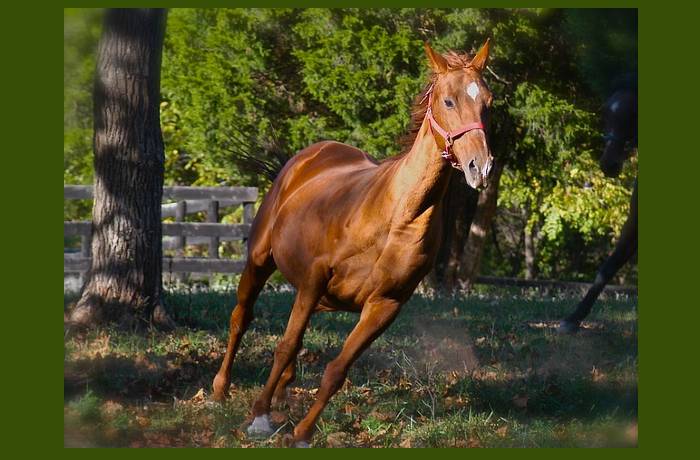 Ντορίτα -ΣΟΦΙΑ ΕΛΕΥΘΕΡΙΟΥ