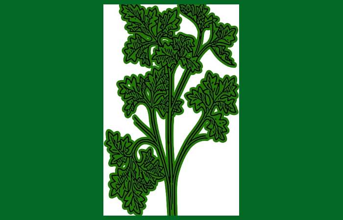 Ο κυρ-Μαϊντανός και η παρέα του-ΘΩΜΑΗ ΤΣΙΜΕΡΙΚΑ