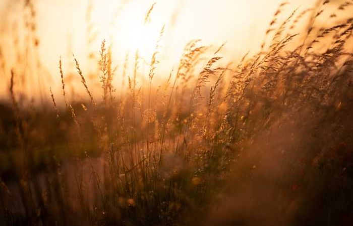 Κατευόδιο-ΚΑΤΙΝΑ ΜΕΤΣΙΟΥ