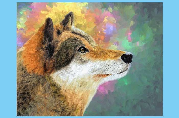 Λύκος στη βιτρίνα-ΠΟΠΗ ΑΡΩΝΙΑΔΑ