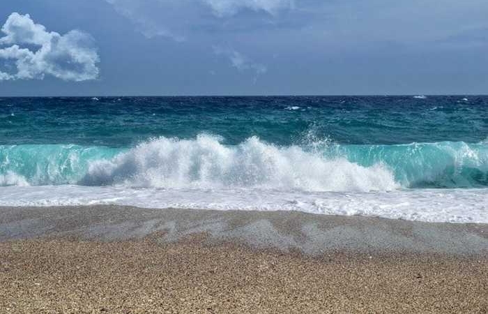 Το μελτέμι στην ποίηση (Ποιήματα)