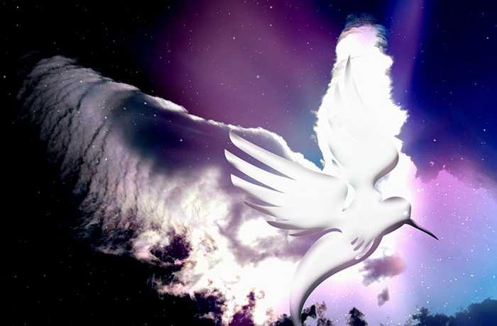 Μουσείο ψυχής -ΓΙΑΝΝΗΣ ΦΙΛΙΠΠΑΚΗΣ