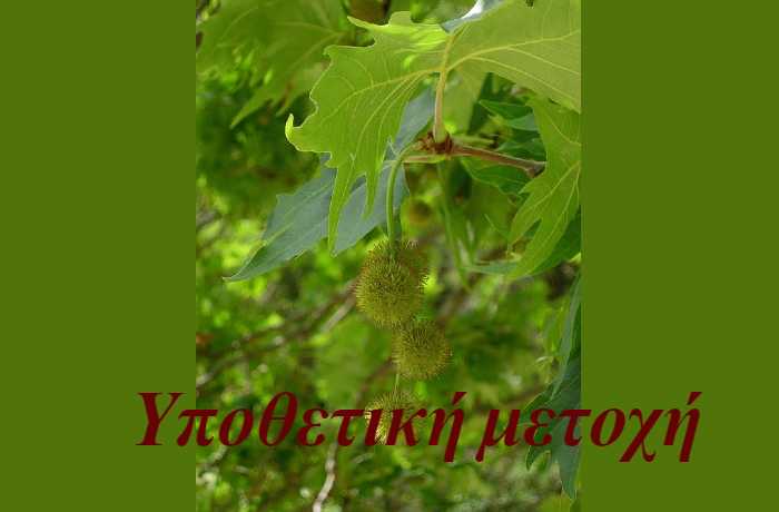 Υποθετική μετοχή ή ( Άσ 'το να'ναι)-ΦΑΝΗ ΑΘΑΝΑΣΙΑΔΟΥ