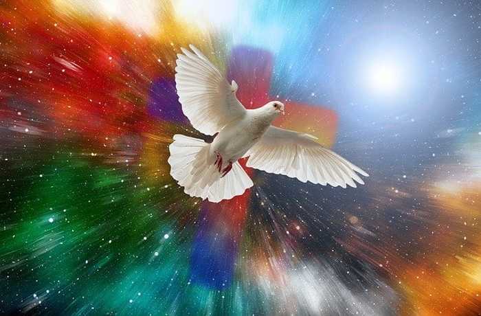 Η ειρήνη στην ποίηση (Ποιήματα)