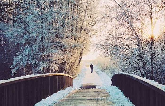 Γέφυρα -ΜΙΧΑΛΗΣ ΔΗΜΑΣ