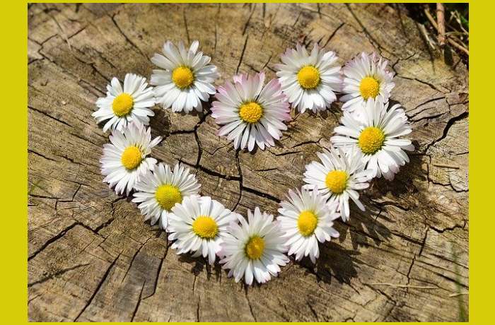 Εννιά ερωτικά χαϊκού ("Παράξενη Εξήγηση 22") - ΜΑΡΙΚΑ ΣΥΜΕΩΝΙΔΟΥ