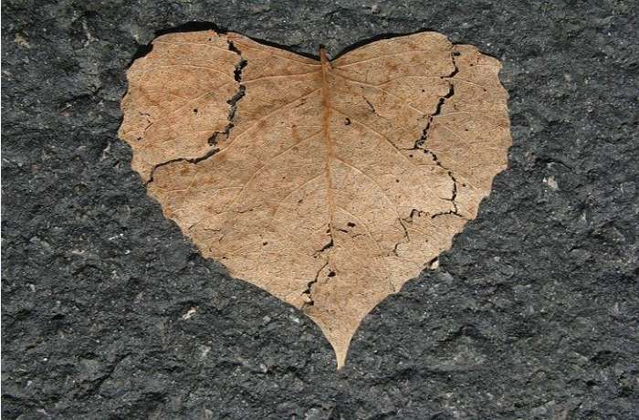 Χαϊκού του ατελέσφορου Έρωτα-ΜΑΡΙΑ ΠΙΣΙΩΤΗ