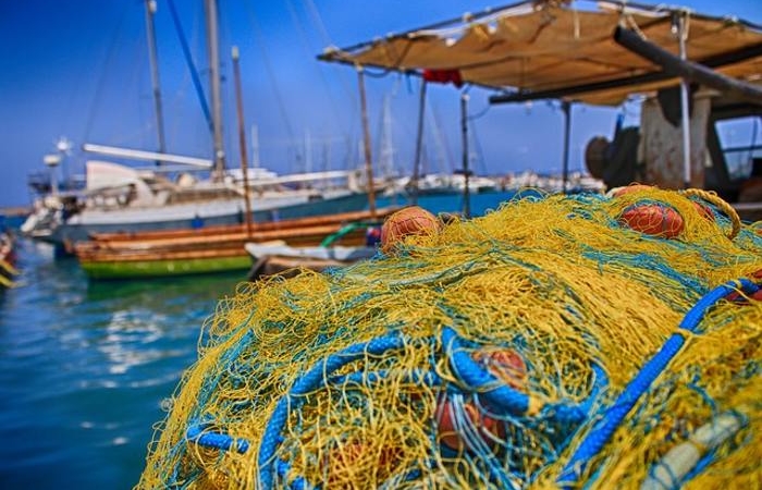 Το δίχτυ στην ποίηση (Ποιήματα)