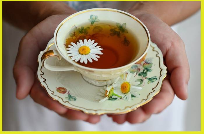 Τεϊοποτείον-ΕΖΡΑ ΠΑΟΥΝΤ