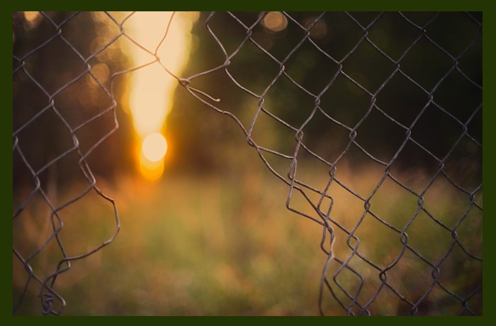 Ελευθερία-ΡΑΛΦ ΓΟΥΑΛΝΤΟ ΕΜΕΡΣΟΝ