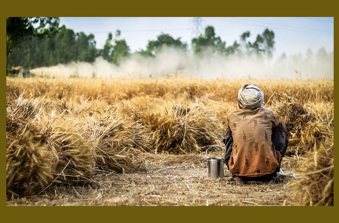 Το κλάμα του μουζίκου-ΝΙΚΟΛΑΪ ΝΕΚΡΑΣΟΦ
