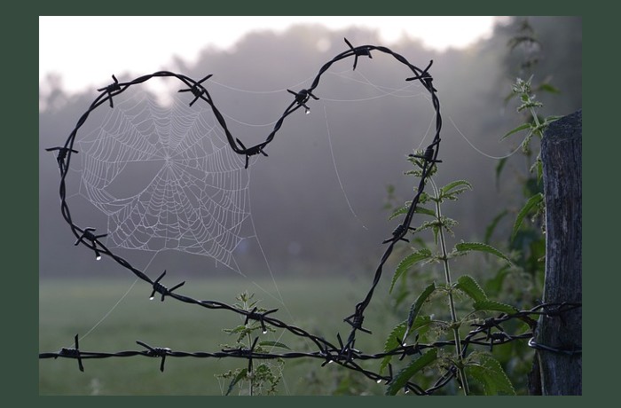 Αγάπη - ΧΑΛΙΛ ΓΚΙΜΠΡΑΝ