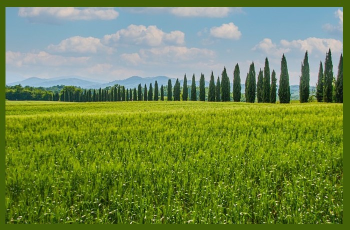 Εν τόπω χλοερώ - ΠΟΛ ΒΕΡΛΕΝ