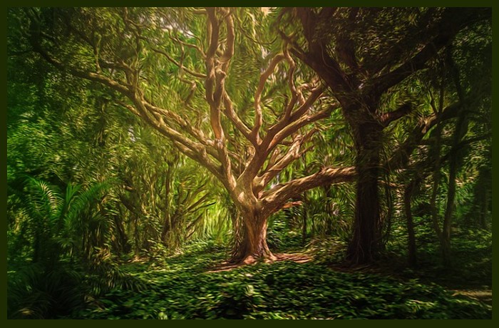 Μες στο δάσος με τους θρύλους - ΜΑΡΙΛΕΝΑ ΜΑΡΚΟΥ ΔΙΟΜΑΤΑΡΗ