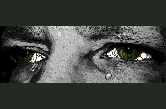 Το μοιρολόγι των Λαγκούρς - ΡΑΝΤΓΙΑΡΝΤ ΚΙΠΛΙΝΓΚ