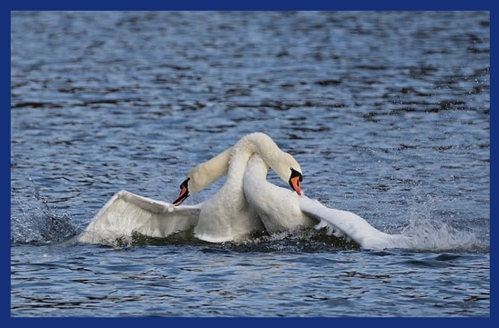 Ονειροπολώντας-ΑΘΑΝΑΣΙΟΣ ΒΟΡΕΑΚΟΣ