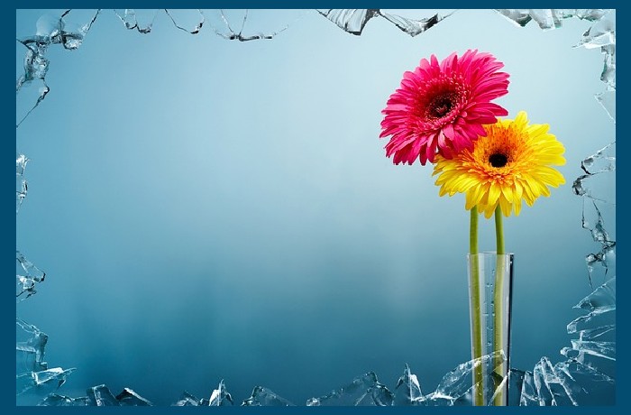 Το ραγισμένο ανθογυάλι - ΣΙΛΙ ΠΡΟΥΝΤΟΜ