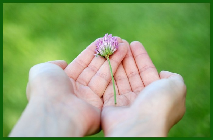 Προσφορά-ΣΤΕΦΑΝ ΜΑΛΑΡΜΕ