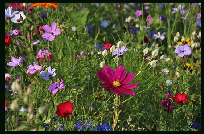 Απόλαψη της ζωής- ΓΙΟΧΑΝ ΚΡΙΣΤΙΑΝ ΦΡΙΝΤΡΙΧ ΧΕΛΝΤΕΡΛΙΝ