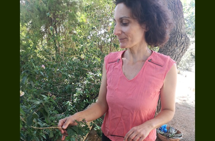 "Η συγγραφή μού δίνει...oυσία, διέξοδο, ταξίδι στα άδυτα της ψυχής μου!" - Συνέντευξη με τη συγγραφέα Ορτανσία Πέτρογλου