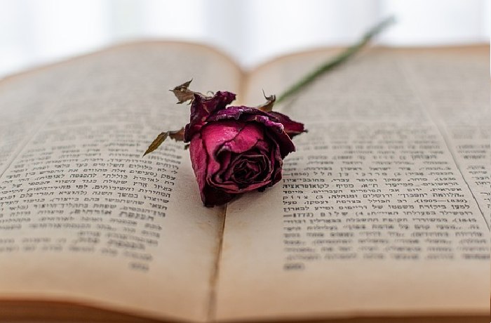 Το ξερό λουλούδι- ΑΛΕΞΑΝΤΡ ΠΟΥΣΚΙΝ