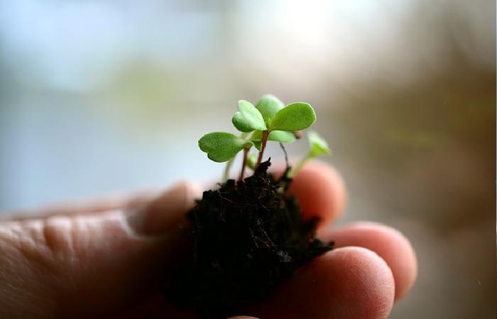 (Η ζωή...είναι...) - ΣΑΝΤΡΟ ΠΕΝΝΑ