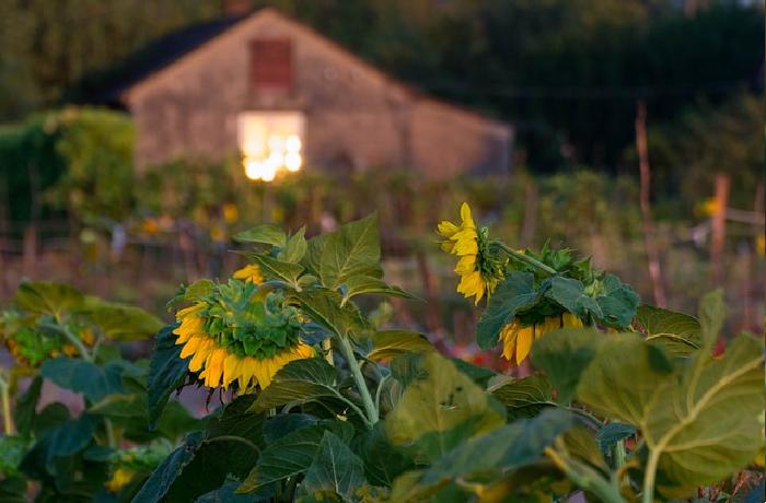 Εαρινή βραδιά-ΚΩΣΤΑΣ ΟΥΡΑΝΗΣ