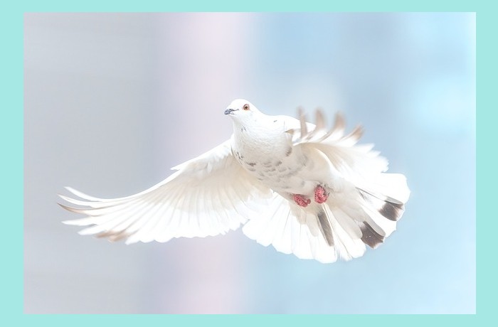 Τα παιδιά της νέας εποχής-ΜΙΓΚΤΖΕΝΙ