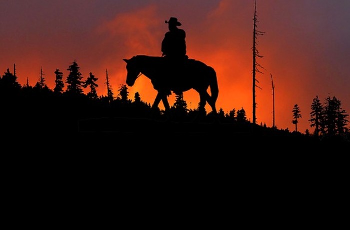 Φωνή από το βουνό-ΚΡΙΣΤΙΑΝ ΧΑΪΝΡΙΧ ΧΑΪΝΕ