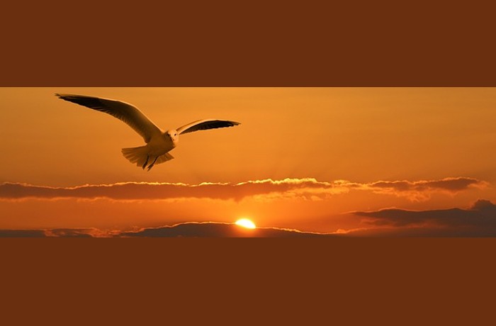 Ανυπέρβλητη, θεϊκή- ΝΤΑΜΑΣΟ ΑΛΟΝΣΟ