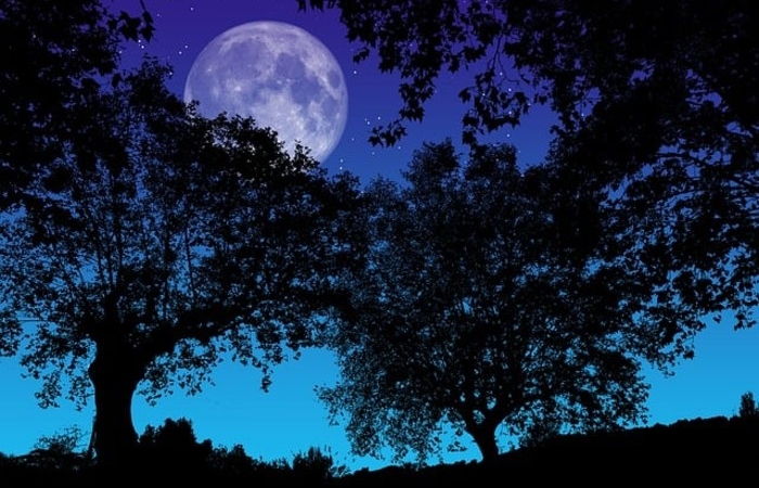 Γεμοφεγγάρια-ΟΛΓΑ ΔΗΜΟΣΘΕΝΟΥΣ ΚΑΛΥΒΑ