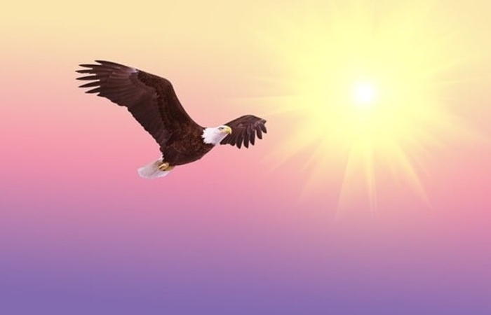 Ο αετός-ΓΙΑΝΝΗΣ ΙΩΑΝΝΟΥ