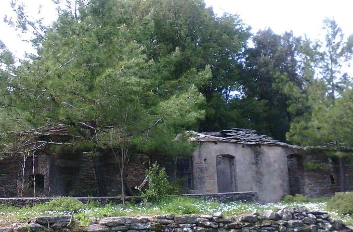 Ποιήματα της ξενιτιάς και του νόστου-ΡΟΥΛΑ ΒΑΣΙΛΑ